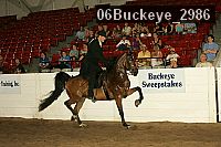 06buckeye_2986 thumbnail