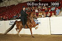 06buckeye_3000 thumbnail