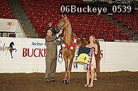 06buckeye_0539 thumbnail