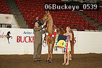 06buckeye_0539 thumbnail