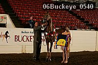 06buckeye_0540 thumbnail