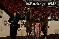 06buckeye_0542 thumbnail