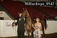 06buckeye_0547 thumbnail