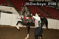 06buckeye_0580 thumbnail