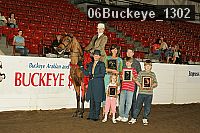 06buckeye_1302 thumbnail