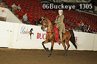 06buckeye_1305 thumbnail