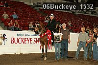 06buckeye_1532 thumbnail