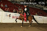 06buckeye_1536 thumbnail