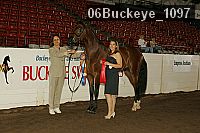 06buckeye_1097 thumbnail