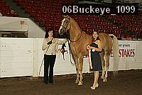 06buckeye_1099 thumbnail