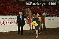 06buckeye_1100 thumbnail