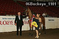 06buckeye_1101 thumbnail