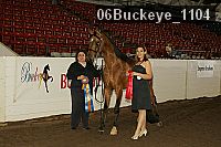 06buckeye_1104 thumbnail