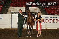 06buckeye_0237 thumbnail