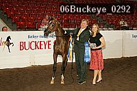 06buckeye_0292 thumbnail