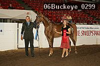 06buckeye_0299 thumbnail