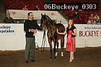 06buckeye_0303 thumbnail