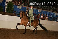 06reg12_0310 thumbnail