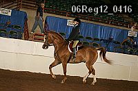 06reg12_0416 thumbnail