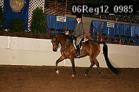 06reg12_0985 thumbnail