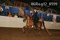 06reg12_0599 thumbnail