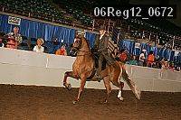 06reg12_0672 thumbnail