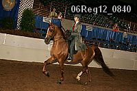 06reg12_0840 thumbnail