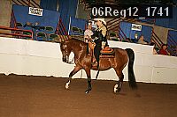 06reg12_1741 thumbnail