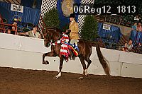 06reg12_1813 thumbnail