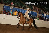 06reg12_1173 thumbnail