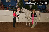 06reg12_1268 thumbnail