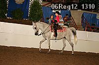 06reg12_1310 thumbnail
