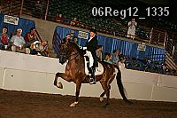 06reg12_1335 thumbnail