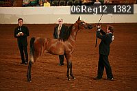 06reg12_1382 thumbnail