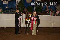 06reg12_1420 thumbnail