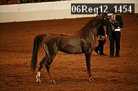 06reg12_1454 thumbnail