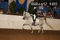 06reg12_1485 thumbnail