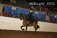 06reg12_1553 thumbnail