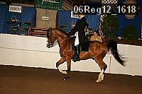06reg12_1618 thumbnail