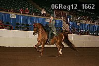 06reg12_1662 thumbnail