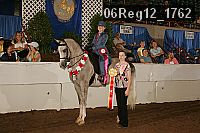 06reg12_1762 thumbnail