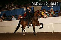 06reg12_1842 thumbnail