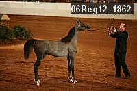 06reg12_1862 thumbnail