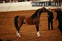 06reg12_1912 thumbnail