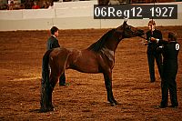 06reg12_1927 thumbnail