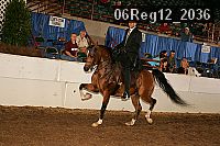 06reg12_2036 thumbnail