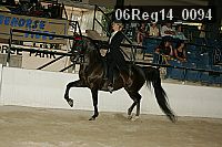 06reg14_0094 thumbnail