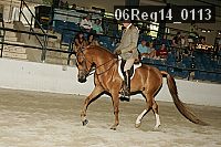 06reg14_0113 thumbnail
