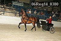 06reg14_0380 thumbnail