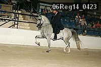 06reg14_0423 thumbnail